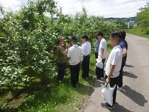 アップルハウス大釈迦を見学